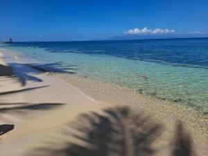 a shadow of a palm tree on the beach at Appartement MANBANA 320 - accès direct a la plage in Grand-Bourg