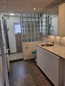 Bilik mandi di Basement apartment north in the city