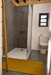 a bathroom with a shower and a toilet at Senteurs tropicales in LʼEntre-Deux