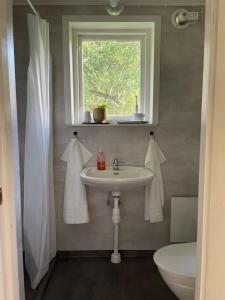 HögsbyにあるSmåland Forest Cabin Retreatのバスルーム(洗面台、窓、トイレ付) +20枚の写真