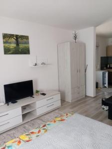Vrnjačka BanjaにあるApartmani Nanaのリビングルーム(薄型テレビ付)