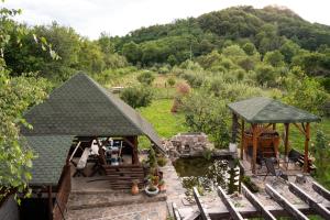 an aerial view of a garden with a gazebo at Casa de la Tara in Costeşti-Vîlsan