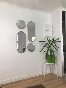a room with three mirrors and a potted plant at Charmant Studio indépendant in Louvres