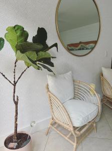 a chair and a plant in a room with a mirror at Beachside Modern Wellness Villa with Spacious Patio in Jupiter
