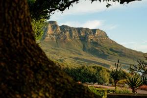 ケープタウンにあるOcean View Houseの遠くの山の景色