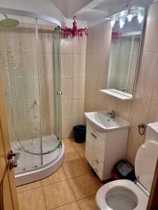 ein Badezimmer mit Dusche, Toilette und Waschbecken in der Unterkunft Centru Vechi Craiova in Craiova