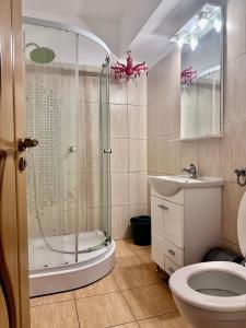 ein Badezimmer mit Dusche, Toilette und Waschbecken in der Unterkunft Centru Vechi Craiova in Craiova