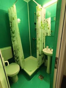 a bathroom with a shower and a toilet and a sink at Dumbravii House in Sibiu +9 photos