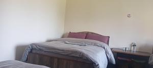 Postel nebo postele na pokoji v ubytování Hotel Himalayan vista + 1 fotografie