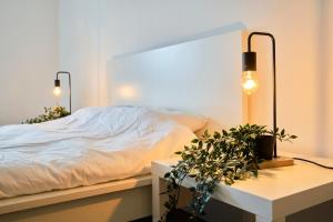 ein Schlafzimmer mit einem Bett und zwei Pflanzen auf einem Schreibtisch in der Unterkunft T2 spacieux - Lille Saint Maurice Pellevoisin in Lille