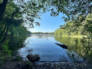a view of a lake with trees on the shore at Tranquil Apartment in Vantaa in Vantaa