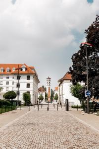 a cobblestone street in a city with buildings at A21 Rhine view condo by the 3-countries-bridge in Huningue