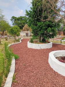 a garden with red gravel and a tree in the middle at Cabañas en arcos del sitio in San Francisco Magú +3 photos