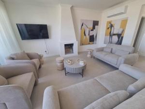 a living room with two couches and a fireplace at Karyatis Building in Nicosia