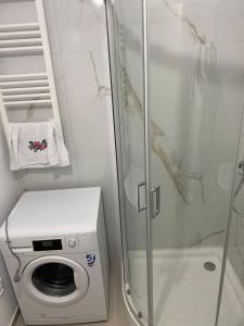 a shower stall with a washing machine in a bathroom at Ana Maria in Lunca Cetăţuii