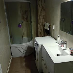 ein Badezimmer mit einem Waschbecken, einer Dusche und einer Waschmaschine in der Unterkunft The vacation home in Bran