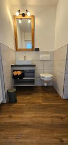 a bathroom with a sink and a toilet and a mirror at Pension Kursprung in Bad Brambach +34 photos