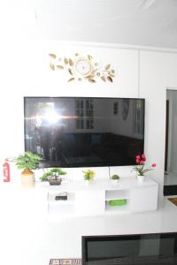 TV a/nebo společenská místnost v ubytování Fathikoyhe