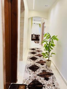 Billede fra billedgalleriet på Fontana Guste house i Luxor + 5 billeder