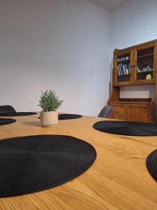 a conference room with a table with a potted plant on it at Szmer Olzy Apartament in Istebna