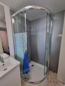 a shower with a glass door in a bathroom at Luna's Seaview Residence - Ankaran in Ankaran +27 photos