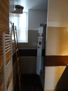 ラ・ロシュ・ベルナールにあるChambre d'Hôtes Ty Menの小さなバスルーム(シャワー、窓付)が備わります。