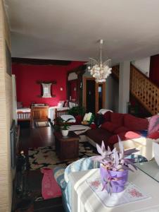 een woonkamer met rode muren en een rode bank bij Casa rural Eguzkilore in Etuláin
