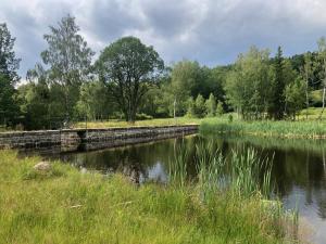a river with a stone bridge and grass and trees at Chalet Malá Strana in Lučany nad Nisou