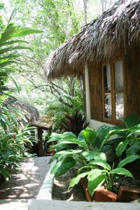 a small house with a thatch roof at Cabañas Biuzaa in Zipolite