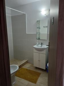 a bathroom with a sink and a toilet and a mirror at Casa Ile in Vişeu de Sus +60 photos