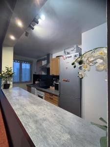 a kitchen with a refrigerator and a counter top at Luxe 2 bedrooms Paris 14th & Montrouge in Montrouge