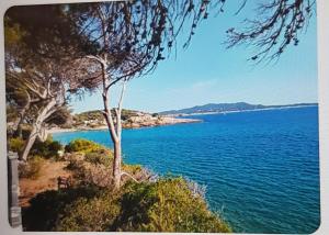 a view of the ocean from a hill with trees at Le Baou fully renovated 2025 in Sanary-sur-Mer