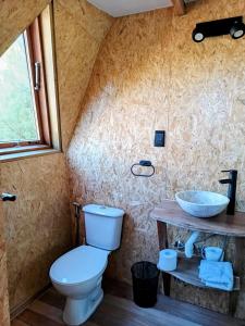 a bathroom with a toilet and a sink at Domos Mare - Glamping frente al Mar in Quequén