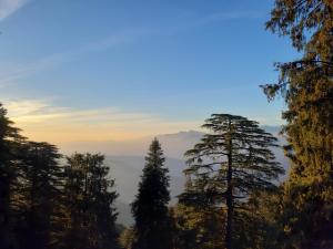 a view of a forest with tall trees in the foreground at Smarthill Kalatop,Dalhousie in Dalhousie