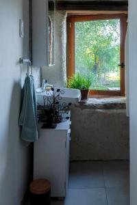 a bathroom with a sink and a window at L'arbres aux minutes in Saint-Martin-Sepert +41 photos
