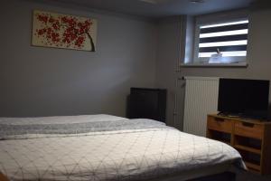 ein Schlafzimmer mit einem Bett und einem Fernseher und einem Fenster in der Unterkunft 2 Cozy Apartment Bialystok in Białystok