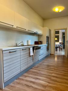 Η κουζίνα ή μικρή κουζίνα στο Luxury and historical apartment right in the center