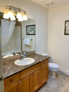 a bathroom with a sink and a toilet and a mirror at Sooke Harbour Hideaway - Luxurious Vacation Rental in Sooke +22 photos