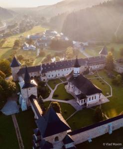 an aerial view of a castle with a building at Casa Adi Sucevița in Voivodeasa