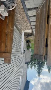 Φωτογραφία από το άλμπουμ του Lucas στο Έντμοντον