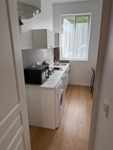 Η κουζίνα ή μικρή κουζίνα στο Appartement Magnifique