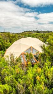 a tent in the middle of a field of trees at Domos Mare - Glamping frente al Mar in Quequén +11 photos