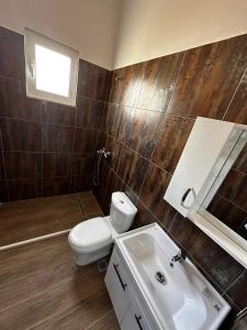a bathroom with a toilet and a sink at Villa 2211 Berat in Uznovë +5 photos
