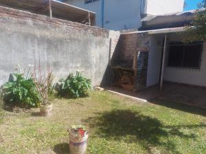 a yard with two potted plants next to a wall at Alojamiento Las nenas a la vuelta del corsodromo in Gualeguaychú