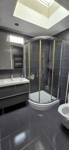 a bathroom with a shower and a sink and a toilet at Lavendel Huisje in Herkingen