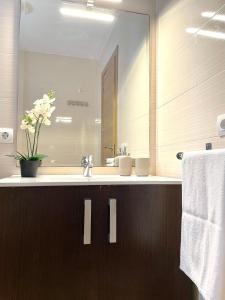 カディスにあるEl Viñero, Apartamento con garajeの洗面台と鏡のあるバスルーム