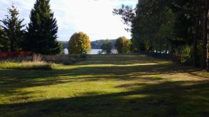 a large grass field with trees and a body of water at Astrolipa in Zyzdrojowy Piecek