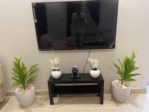 a table with two potted plants and a tv on the wall at BQq in Banī Ghālib