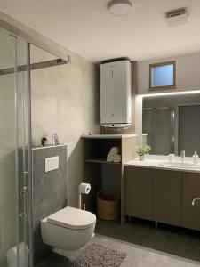 Ένα μπάνιο στο Apartma Arbores +10 φωτογραφίες