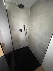 a shower in a bathroom with a wall at Fundis Apartment am Schloss in Bad Harzburg